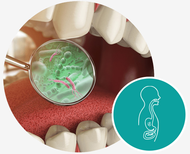 belano medical produkte mund mikrobiom 1 belano medical produkte mund mikrobiom 1
